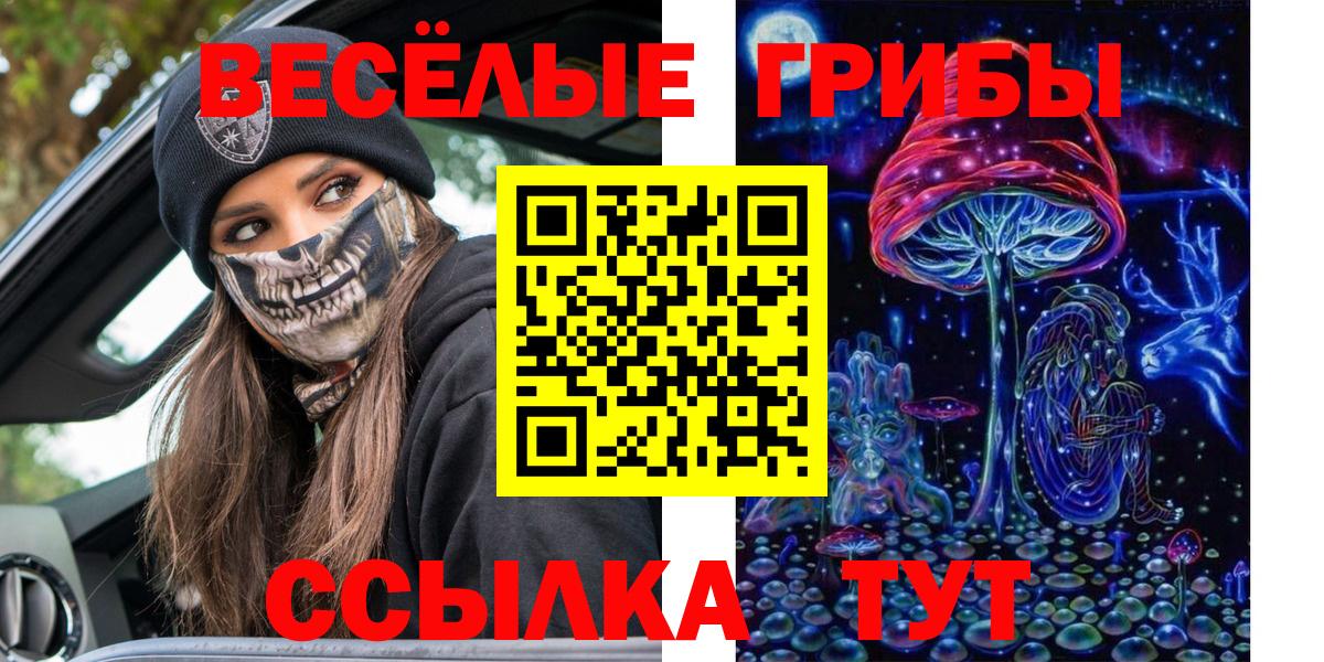 Псилоцибиновые грибы мицелий  Вход с VPN  Ачхой-Мартан  Псилоцибиновые грибы GOLDEN TEACHER 